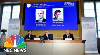 Nobel Prize For Chemistry Awarded For Development Of Tool To Build Molecules